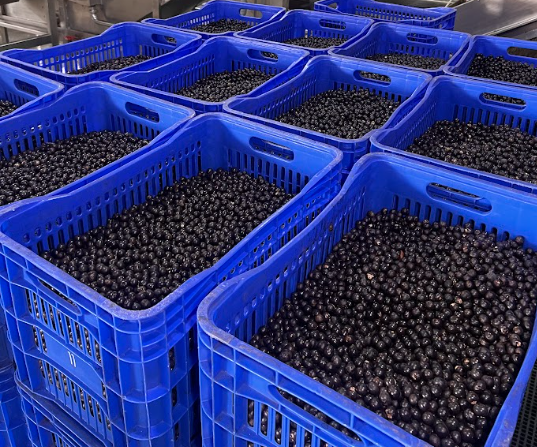Valor nutricional do açaí: o que realmente existe na polpa